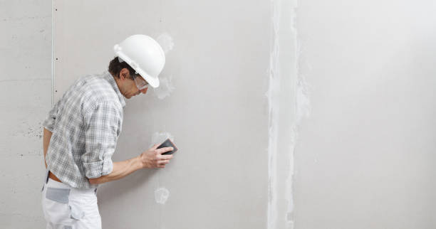 Best Repainting for Renovations  in USA